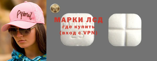 стаф Алзамай