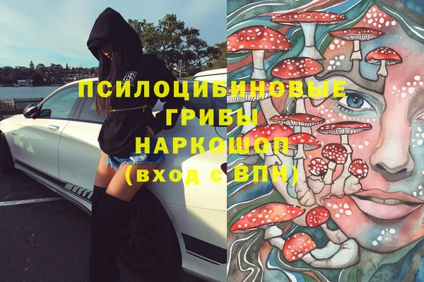 стаф Алзамай