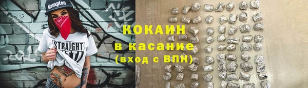 стаф Алзамай